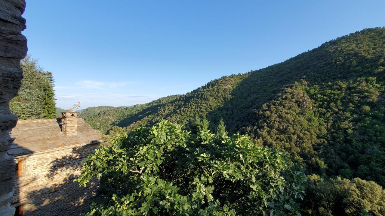 Gite De Combelebouze En Cevennes - Cosy, Confort Et Climatise - 3 Etoiles Saint-Privat-de-Vallongue Exterior foto